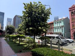 Hong Lim Complex (D1), Shop House #602953381